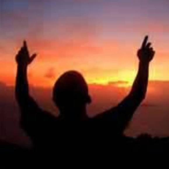 Meet your Posher, Cody - Picture 1 of 1